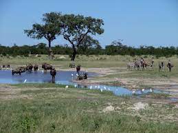 Chobe National Park Destinations